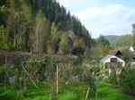 41 1144-9 mit dem Sormitztal-Express zu sehen am 05.10.14 in Leutenberg.