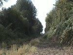 An einem schnen Frhherbstsonntag 2008 fuhr ein Sonderzug zwischen Mnchengladbach BW und Rheindahlen im Pendelverkehr.