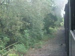 Bahnhofseinfahrt Puderbach(Westerwald)

Also das ist net so ganz gut Freigeschnitten worden.....Lichtraumprofil ist was anderes ;)