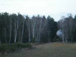 BR 52 8154-8 auf der Strecke von Bad Schmiedeberg nach Eilenburg am 10.03.07.