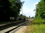 Eintreffen des Sonderzuges, gezogen von der 111jhrigen Dampflok BR 91 134 -DR- im Bahnhof Gadebusch 26.07.2009