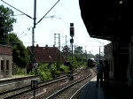 Dampflok BR 91 134 -DR- rangiert  ihren  Sonderzug im Bahnhof Ludwigslust 01.08.2009