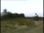 Zugverkehr in Morsum eine 223 zog eine NOb nach Westerland kurz danach fahren 2 218 durch das Bild mit einem Autozug nach Niebll.