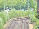 220 033-5 bei der Ausfahrt mit ihrem Sonderzug zum 40.Wochenende an der Jade aus Wilhelmshaven.
