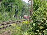 225 028-0 und 225 029-8 ziehen einen gemischten Güterzug die Steigung hoch von Aachen-West kommend in Richtung belgische Grenze und Montzen. Die Abgaswolke über den Loks lässt erkennen, wie schwer sie auf diesem Stück arbeiten müssen. Aufgenommen am 10/05/2008.