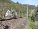 MY 1138 (227 004) und MY 1142 (227 005) fuhren am 28.04.20 mit einem Holzzug von Saalfeld nach Plattling. Hier ist der Zug in Eichicht zu sehen.