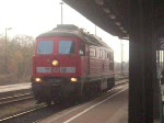 232 228-7 am 11.11.08 im Bahnhof Forst/Lausitz .