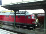 Ausfahrt einer BR 232 am 29.9.09 in Lehrte.