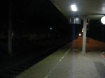 232 xxx-x fuhr mit einem GZ durch den Reinfelder Bf.