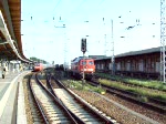 Abfahrt von 232 146 am 18. August 2007 im Stralsunder Hbf.