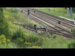 Ludmilla als Doppeltraktion fhrt mit einem beladenen Kieszug in den Anschluss Pasewalk-Ost und anschliessend als Tfzf zurck nach Pasewalk.