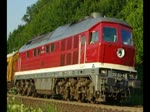 232 223-8 mit kurzem Bauzug in Fahrtrichtung Sden.