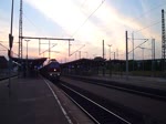 Am 07.09.13 ging es mit dem Eisenbahnmuseum Leipzig und der LEG 132 158 nach Meiningen zu den XIX Dampfloktagen.