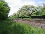 Eine Class 66 (JT42CWR)zieht Kesselwagen.