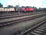 BR298 161-1 beim Rangieren in Bahnhof Rostock-Seehafen.Aufgenommen am 21.01.08