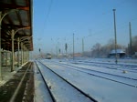 261 011 mit den 203 115/203 114/203 113 aus Magdeburg kommend.