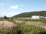 Ein 928er von Ellwangen nach Ulm Hbf fhrt am 25.Juli 2007 ber die Brenzbahn. Aufgenommen zwischen Oberkochen und Knigsbronn.
Danke an den netten Lokfhrer(Handgru).

