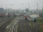 Ausfahrt des RB 28523 am 06.11.08 aus den Cottbuser Bahnhof .