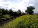 Der Niersexpress RE 10 Richtung Dsseldorf. Die Aufnahme enstant am 13.7.07.