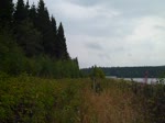 Am 25.08.13 fuhr das Ferkel (171 056-5) wieder von Adorf nach Muldenberg und zurck. Hier zusehen an der Talsperre Muldenberg.