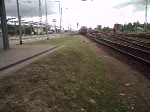 Sonderzug(Lausitzer Dampflok Club)von Cottbus nach Rostock Hbf.bei der Einfahrt im Rostocker Hbf.(09.08.08)