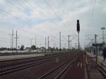 Am 6. Dresdner Dampfloktreffen gab es auch wieder eine Parallelfahrt von Dresden nach Decin. Hier am 13.04.14 01 509 und 03 1010 den zweien Zug bespannte E 77 10 in Heidenau.