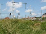 Hinter dem Gras kamen Sie hervor 101 063-6+101 101-4(Hinten)mit IC2213 von Ostseebad Binz nach Stuttgart Hbf bei der Ausfahrt im Rostocker Hbf.(10.06.2011)