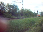Eine 101 mit SBB-EC bei Offenburg-Hildboltsweier, 2005.