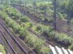 Ein Video aus vergangenen Tagen: Br 101 mit dem CNL aus Wien-Westbahnhof (noch im einheitlichen Blau) und dem NZ aus Milano Centrale kurz vor Kln Hbf. Ziel des Zuges war Dortmund Hbf.