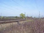 101 024, 7, Hohberg-Niederschopfheim, 05.04.07