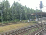 Baureihe 145 der DB Railion fhrt mit einem Containerzug in Richtung Berlin aufgenommen 08.08.2010 in Braunschweig 
