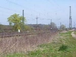 146 109, Hohberg-Niederschopfheim, 05.04.07