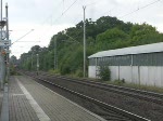 152 169 zieht am 10.07.09 einen leeren Autotransportzug durch Burgkemnitz Richtung Berlin.