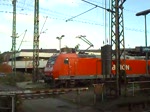 Ausfahrt zweier 185 in Lehrte, am 09.10.09 in Lehrte.