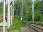 185 x16-x und eine 140 als Wagenlok durchfahren Unna. 09.05.08
