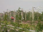 Eine einzelne 185-er macht sich am 29. Juli 2008 auf der Rheintalbahn auf den Weg Richtung Offenburg. An ihr vorbei fhrt ein ICE1, der ungewhnlicherweise heute auf der Regionalverkehrstrecke fhrt und daher auch nicht so schnell unterwegs sein kann wie sonst blich. (0:34 Minuten)