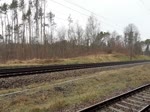 Ein sehr interessanter, gemischter Güterzug ist hier auf der Strecke Roßlau-Wegliniec Höhe KM 127,2 in Richtung Senftenberg unterwegs.
Gezogen von 185 011 und 185 222 reihten sich Eacs,H, Z, F, K, Kesselwagen mit Kreideschlamm,mehrer Wagen mit riesigen Eichenstämen, u.s.w. aneinander.   