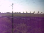 MRCE-Dispolok ES 64 F4-998 ( LZB 189 098 ) zieht am Abend des 13.04.09 einen Gterzug vorbei an Braunschweig-Timmerlah.