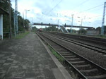 189 013 zieht am 03.08.10 einen langen Containerzug durch Genshagener Heide Richtung Berlin.