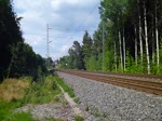 193 831 der SETG ist am 22.07.14 mit einem leeren Holzzug in Jössnitz zu sehen.