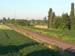 Lahr/Schwarzwald - 29.