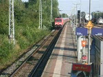 114 005-2 mit Sonderzug von Warnemnde nach Berlin-Lichtenberg bei der Durchfahrt um 08.29 Uhr im Bahnhof Rostock-Bramow.
(02.08.09)