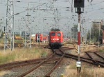 Der Prventionszug war am 29. und 30.Juni zu Gast in Rostock. Wenn man nicht gerade Schler war, konnte man ihn aber nur von auen betrachten. Da es ein Gemeinschaftsprojekt mit der Schweizer Bundesbahn ist, besteht der Zug aus SBB-Wagen.
Am Abend des 30.Juni wird er von 115 114 aus Rostock abgeholt und nach Hamburg-Altona, zur nchsten Station, gezogen.