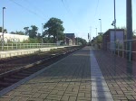 139 313 durchfhrt am 29.05.09 mit einem Kesselwagenzug Burgkemnitz Richtung Berlin.