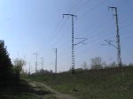 Ein Regionalzug fhrt durch die Wuhlheide.