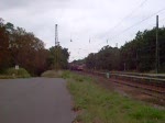 Eine Lok der Baureihe 155 zieht am 29.08.08 einen kurzen Gterzug durch Raguhn in Richtung Bitterfeld.