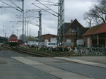 Der Lumpensammler von Mukran nach Rostock Seehafen mit 155 019-3 bei der Ausfahrt im Bahnhof Stralsund.(09.04.10) 
