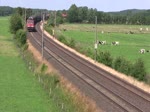 155 008 mit EZ 51451 (Maschen–Seelze) am 10.07.2013 zwischen Maschen und Jesteburg
