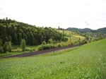 Das weisse Band des ICE aus Zrich, auf der Ausweichstrecke im Fricktal, nach Basel am 20.5.2013 bei frhlingshaften Temperaturen.