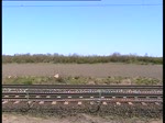 Seitliche Aufnahme eines ICE 1 bei Ochtmissen am 17.4.